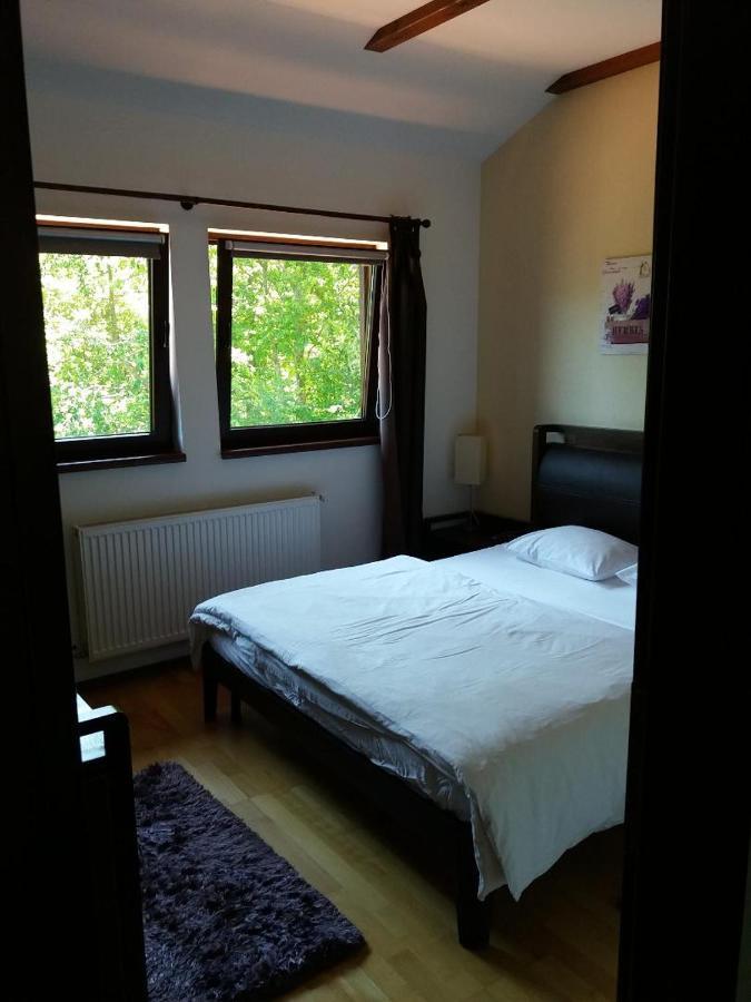 Relaxing Balcony Apartment Sinaia Eksteriør bilde