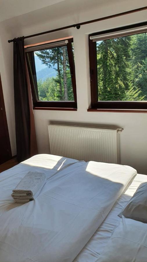 Relaxing Balcony Apartment Sinaia Eksteriør bilde