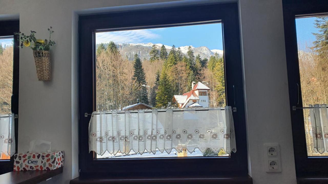 Relaxing Balcony Apartment Sinaia Eksteriør bilde