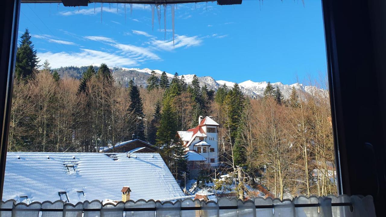 Relaxing Balcony Apartment Sinaia Eksteriør bilde