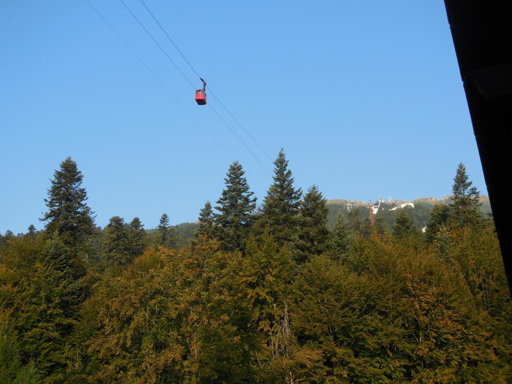 Relaxing Balcony Apartment Sinaia Rom bilde